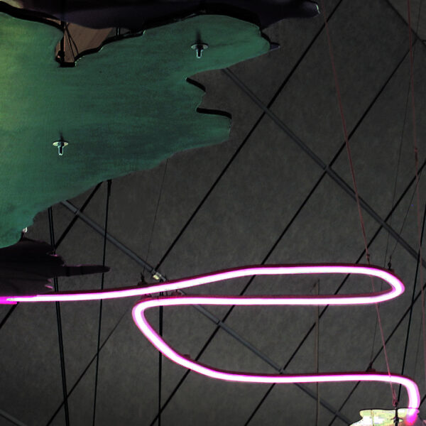Ljusinstallation med abstrakta sjöformer i LED-neon och akryl med translucent dekor, pendlad takmontering och appstyrd belysning - Bild 4