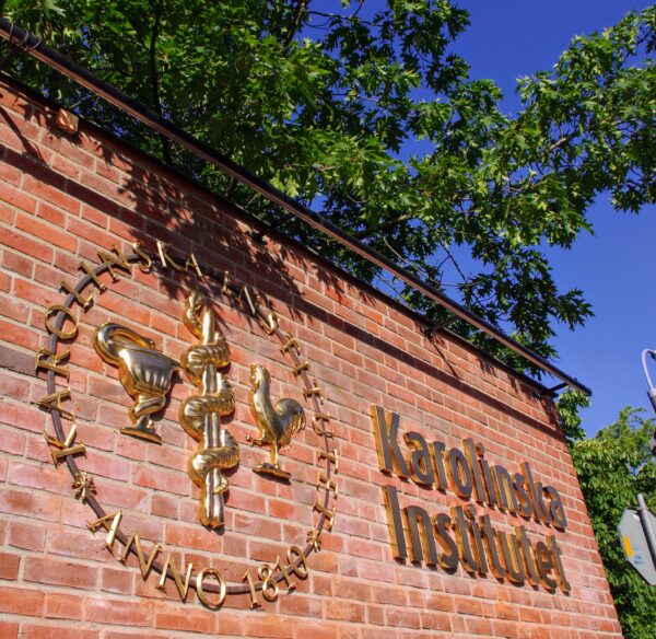 Karolinska Institutet fasadskylt – gjuten brons med ljusramp - Bild 11