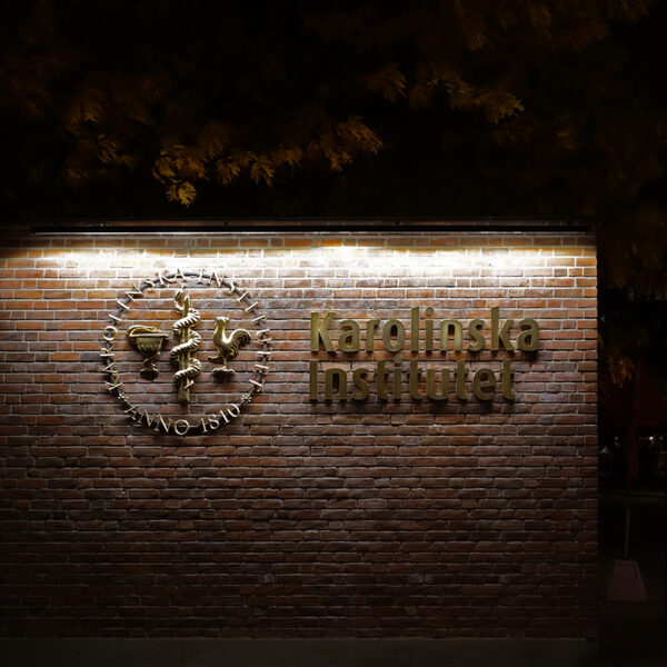 Karolinska Institutet fasadskylt – gjuten brons med ljusramp - Bild 28