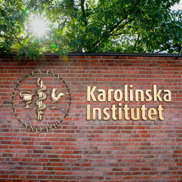 Karolinska Institutet fasadskylt – gjuten brons med ljusramp - Bild 15