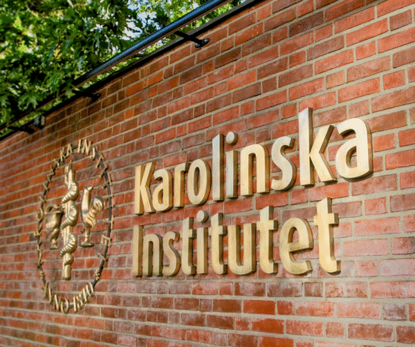 Karolinska Institutet fasadskylt – gjuten brons med ljusramp - Bild 17