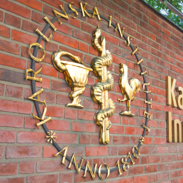 Karolinska Institutet fasadskylt – gjuten brons med ljusramp - Bild 13