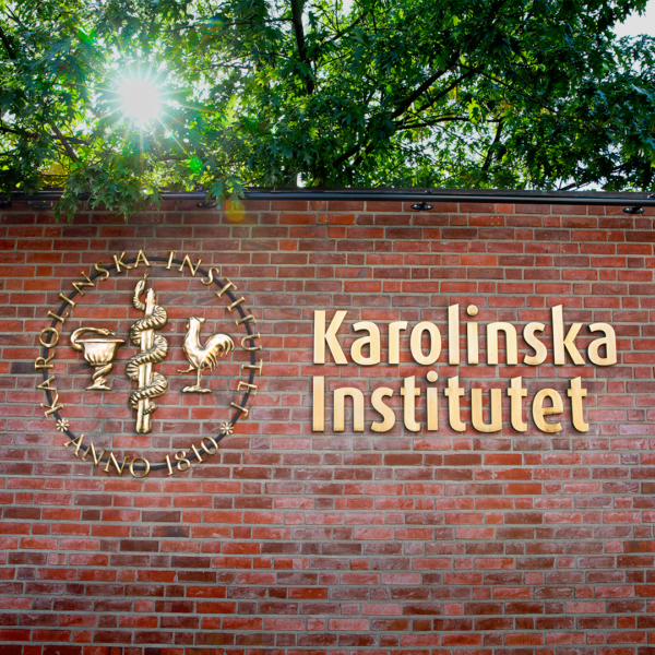 Fasadskylt med skulpturala logotyper i förgylld brons och prismatiska bokstäver - Bild 14