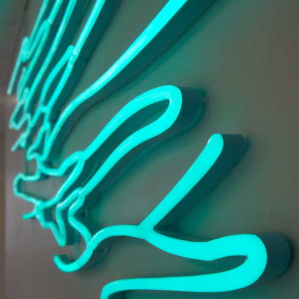 LED-Neoninstallation med rundfräst akryl, appstyrd belysning och formar i olika färger och stilar