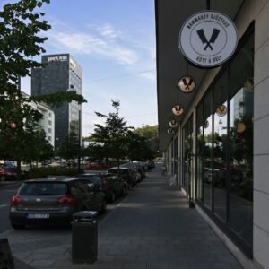 _MG_0041_L