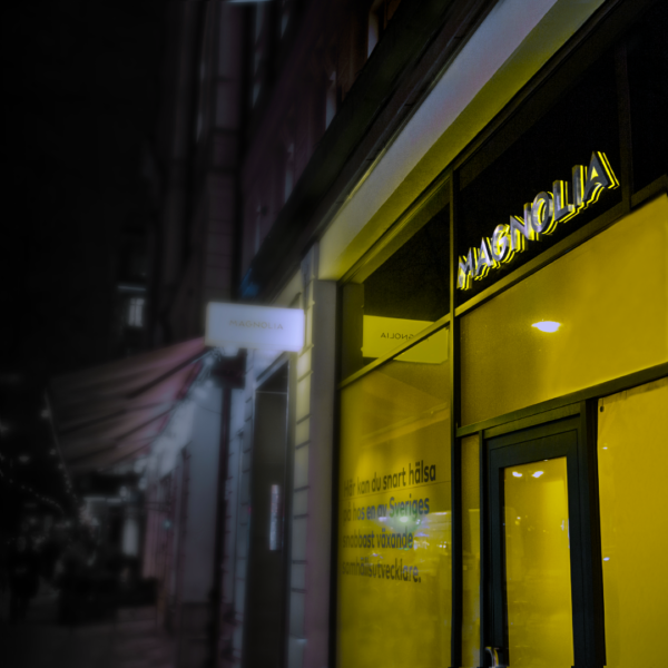 Fasadskylt profilbokstäver i borstat rostfritt stål med LED-belyst bas i gulopal akryl – elegant fasadskylt med sidoeffekt - Bild 3