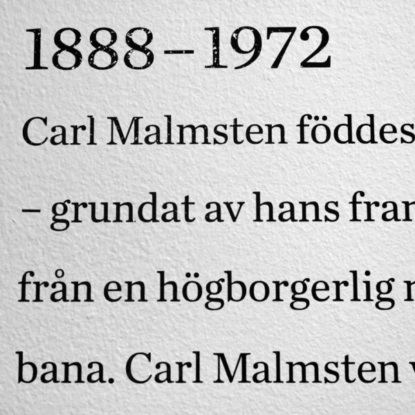 Vinyldekor monterad på vägg för utställning - Bild 3