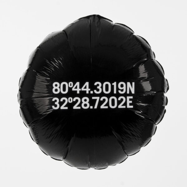 Ballongdekor med Vinyldekor – Personlig & Effektfull - Bild 6