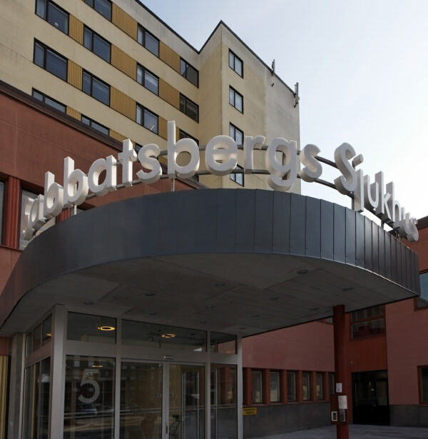 Fasadskylt i rostfritt stål med framifrån LED-belysta profilbokstäver, formar anpassad för montering på entrétak - Bild 5