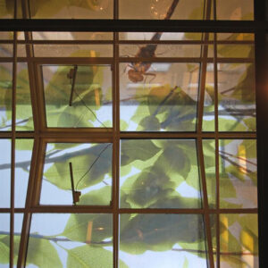 fonsterdkor_fritiof_tak_1_clarex_skyltar