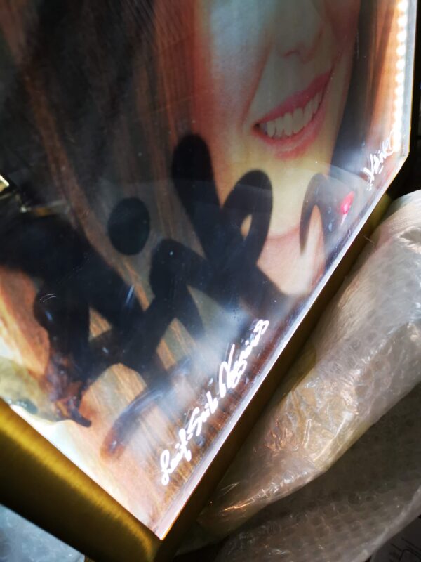 Graffiti Marilyn Monroe glastavla med rostfri ram och LED belysning - Bild 15