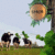 arla_foods-exteric3b6r_skylt-flaggskylt-i-guldtitanlegerat_-rostfritt_stc3a5l-frc3a5n-clarex