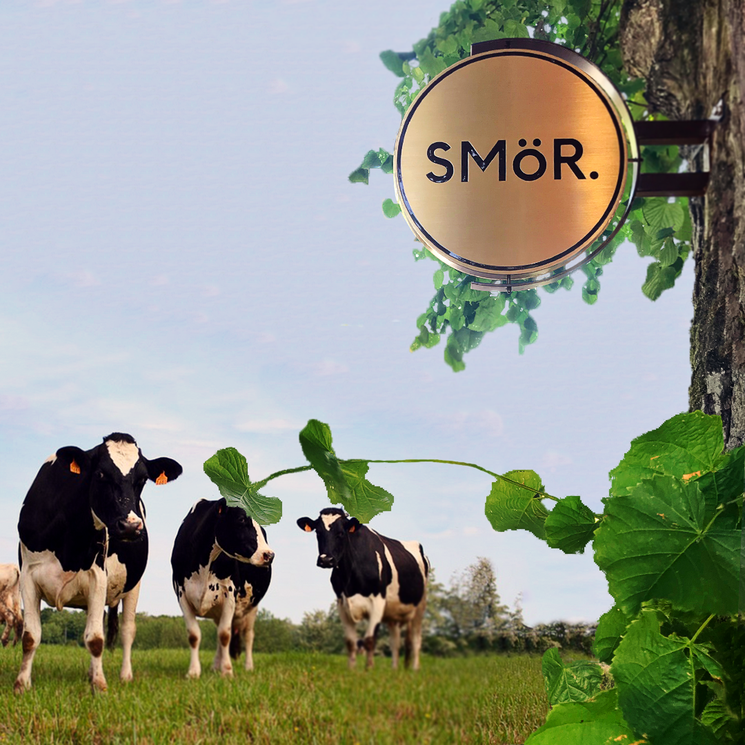 arla_foods-exteric3b6r_skylt-flaggskylt-i-guldtitanlegerat_-rostfritt_stc3a5l-frc3a5n-clarex arla_foods-exteric3b6r_skylt-flaggskylt-i-guldtitanlegerat_-rostfritt_stc3a5l-frc3a5n-clarex