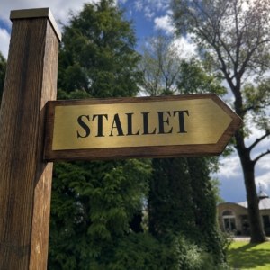 Haga slott 5